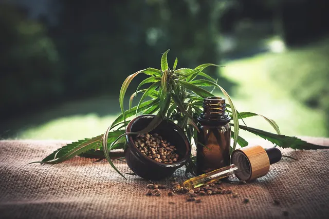 Hemp leaves, a bowl of hemp seeds and an amber CBD oil bottle with a dropper on burlap in soft outdoor light