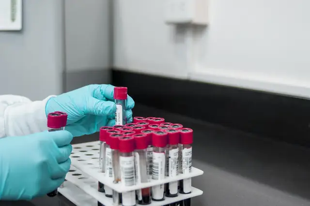 Gloved hands handling a rack of sample tubes in a lab