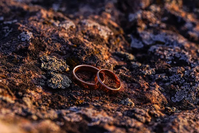 Two rose gold wedding bands resting on a lichen-covered rock in warm sunset light
