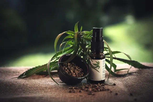 Hemp leaves behind a small bowl of hemp seeds and an amber spray bottle of hemp oil on burlap, with seeds scattered