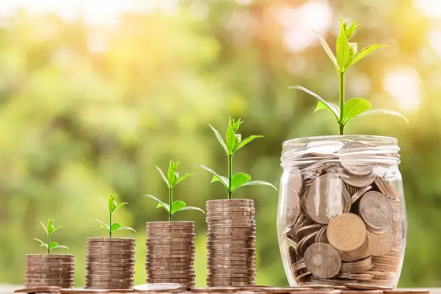 Coin stacks growing in height with seedlings sprouting from them