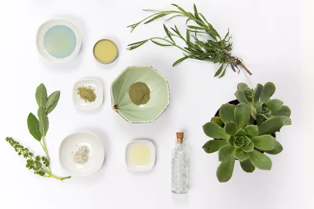 Flat lay of green herbal powders in ceramic bowls with fresh herbs, a succulent, a balm tin and a corked glass bottle