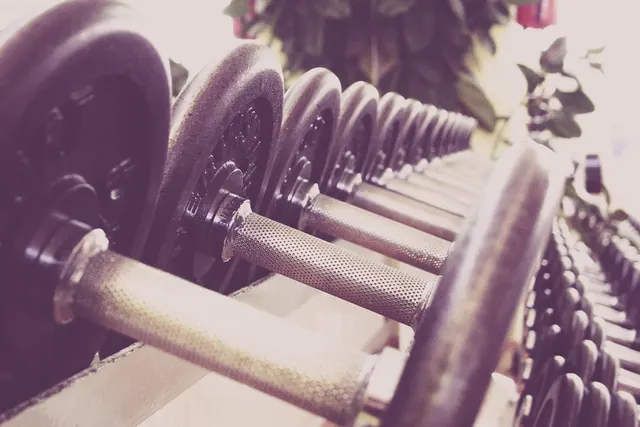 Close-up of a row of metal dumbbells with knurled grips lined up on a rack in a fitness studio