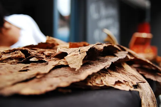 Close-up of dried, cured tobacco leaves piled on a counter, with a blurred person and chalkboard sign behind