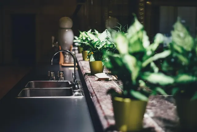 Stainless steel double sink and chrome faucet on a dark countertop beside a row of potted green plants on marble