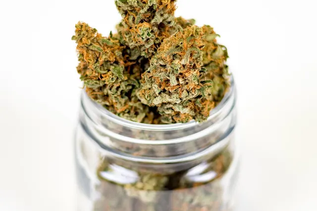 Dried cannabis buds with orange hairs overflowing an open glass jar on a white background