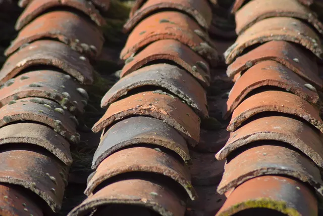 Close-up of weathered terracotta barrel roof tiles in overlapping rows, with moss and lichen growing between them
