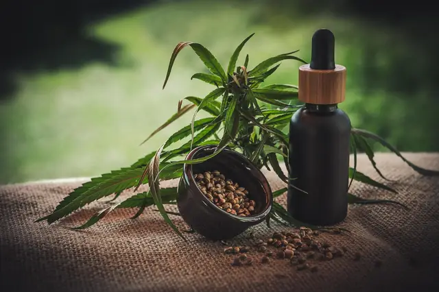 Cannabis plant beside a dropper bottle and bowl of seeds