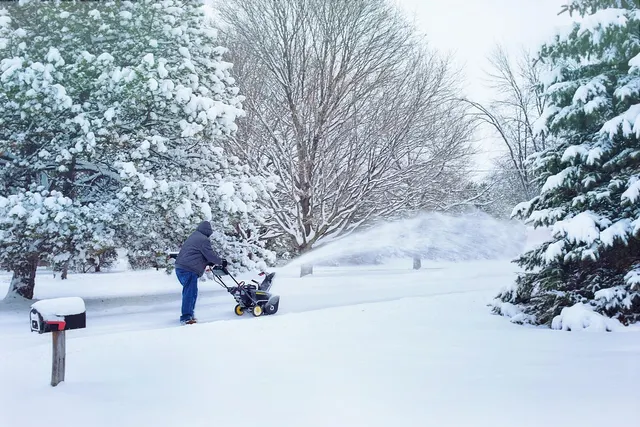 Person in a hooded jacket clearing a snowy driveway with a snow blower beside a mailbox and snow-covered trees