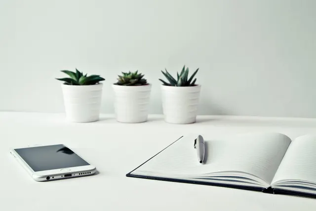 Smartphone and open lined notebook with a pen on a white desk, three potted succulents in the background