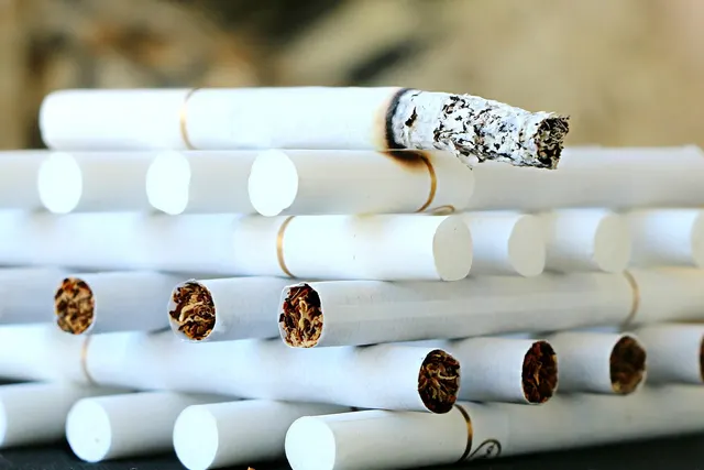 Close-up of stacked white cigarettes with tobacco-filled ends, one partly smoked with gray ash on top
