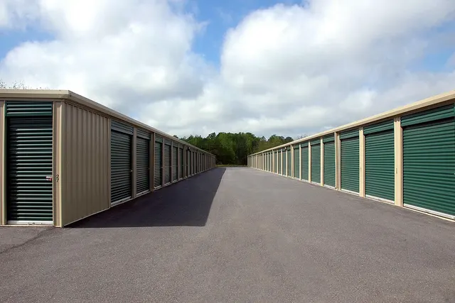 Two rows of self-storage units with green roll-up doors facing a paved driveway under a cloudy blue sky