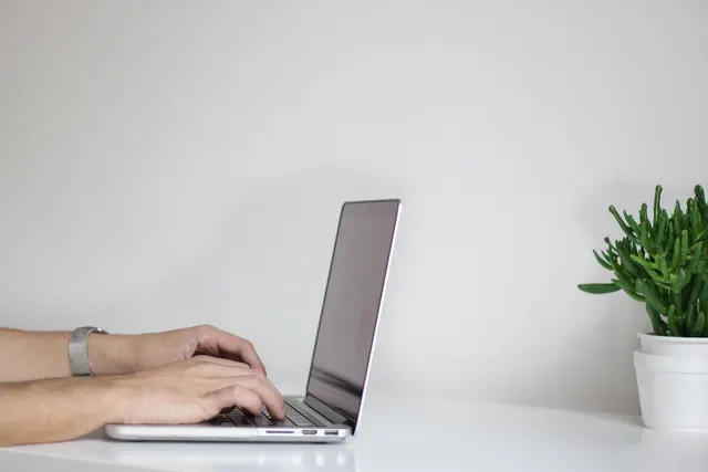 Hands with a silver wristwatch typing on a laptop at a white desk beside a potted green succulent